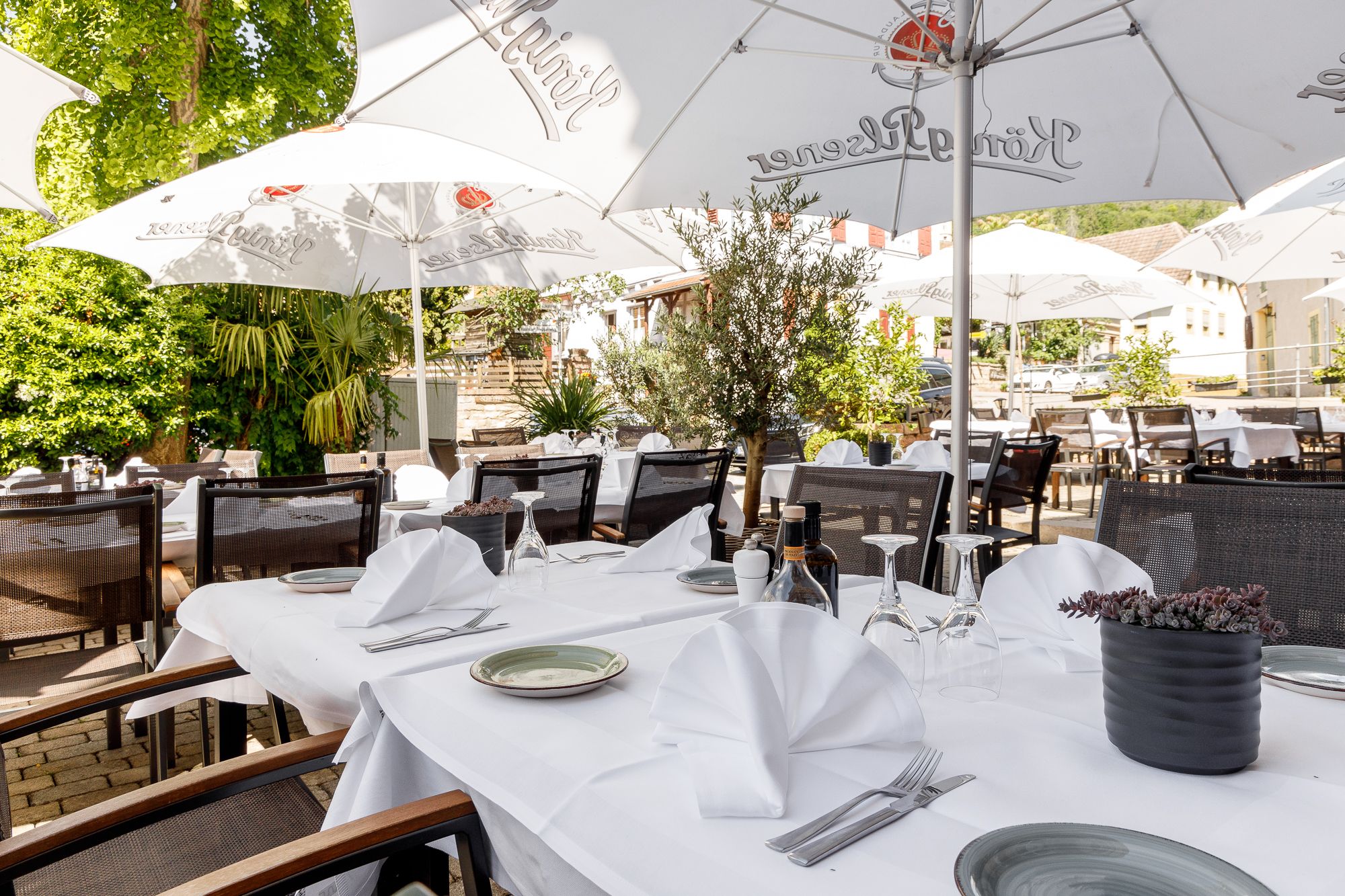 ls-image-19_5_2025-89